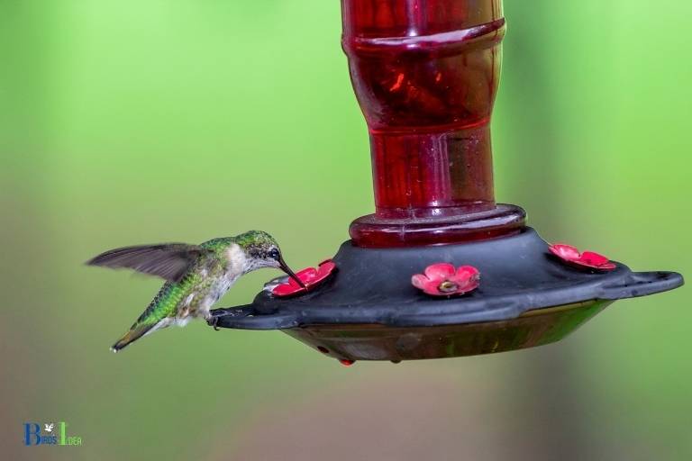 when to put out hummingbird feeders in indiana