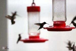 When To Put Out Hummingbird Feeders In Pa: Apr-May!