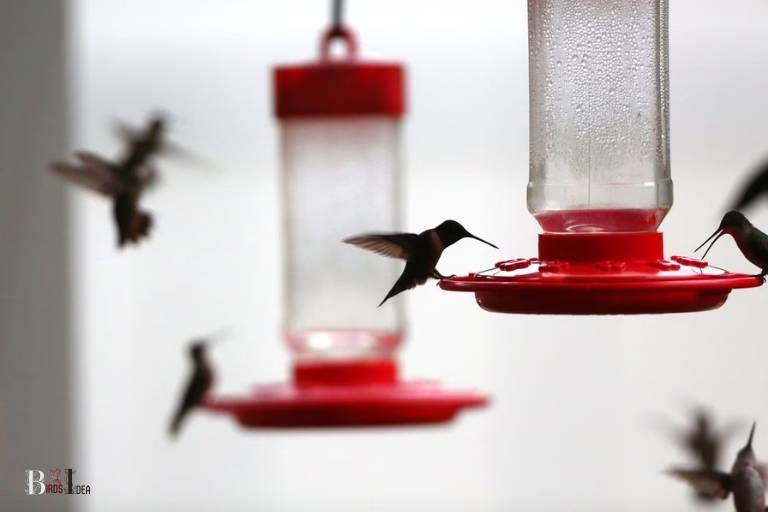when to put out hummingbird feeders in pa