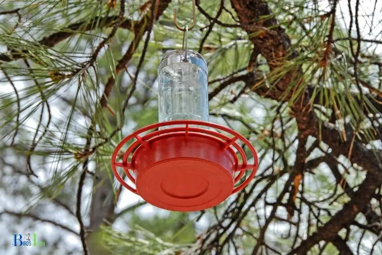 will hummingbirds come to my feeder