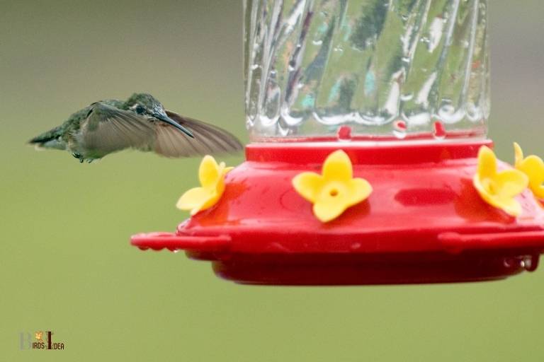 will hummingbirds feed near other birds