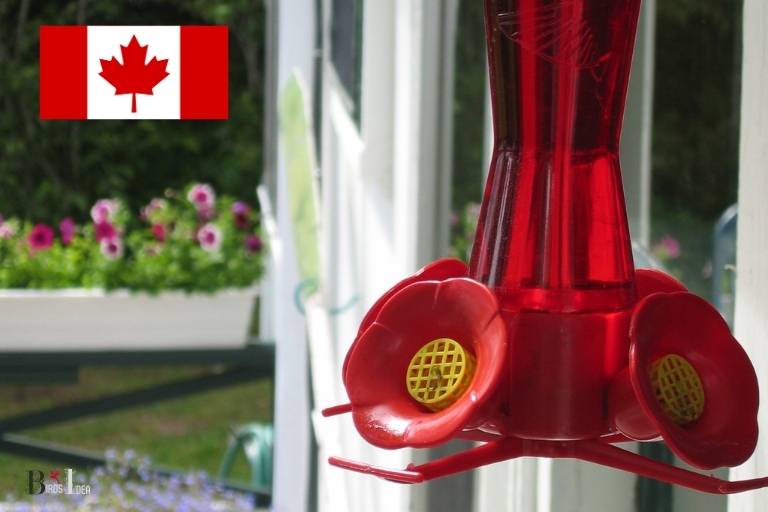 window mount hummingbird feeder canada