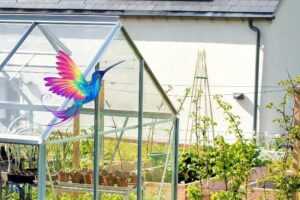 Are Hummingbirds Good for Vegetable Gardens: Yes!