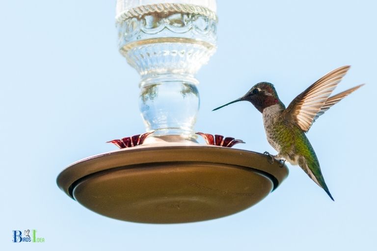 can i use distilled water to make hummingbird food