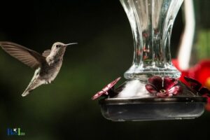 can you make hummingbird food ahead of time