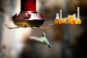 Can You Make Hummingbird Food With Corn Syrup? No!