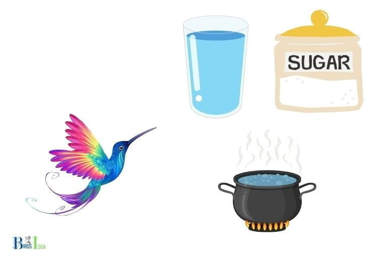 can-you-make-hummingbird-food-with-powdered-sugar-no