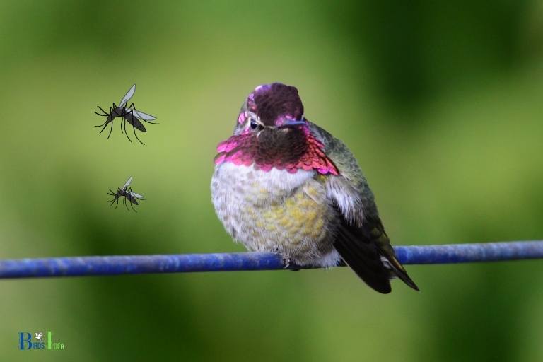 do hummingbirds keep mosquitoes away