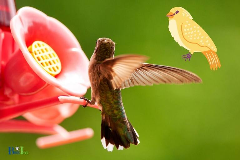 do hummingbirds keep other birds away