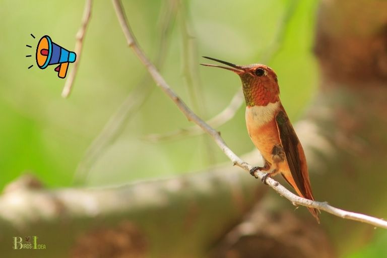do hummingbirds make a chirping sound