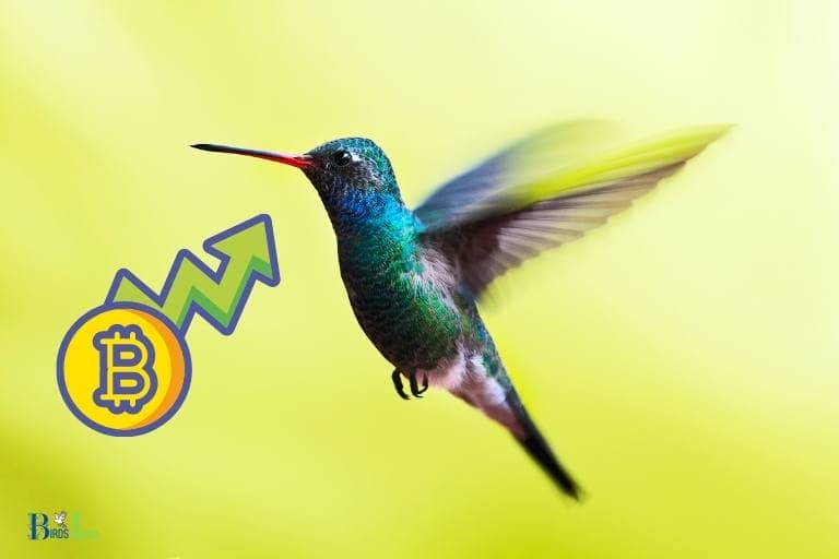 how to buy hummingbird crypto