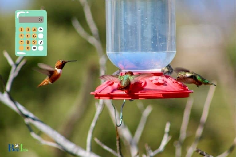 how to calculate how many hummingbirds you have