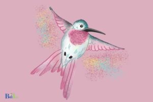 How to Color a Hummingbird With Colored Pencils? 8 Steps!