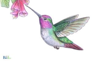 How to Draw a Hummingbird Art Hub: Simple Steps!