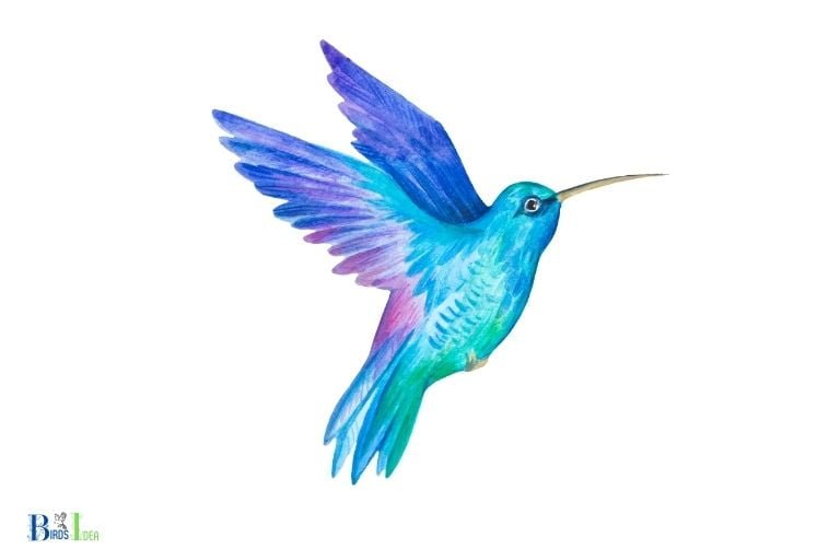 how to draw a hummingbird step by step dragoart