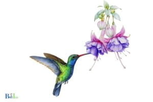 How to Draw a Hummingbird With a Flower: Basic Steps!