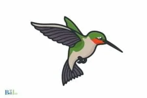 How to Draw a Ruby Throated Hummingbird? 10 Steps!