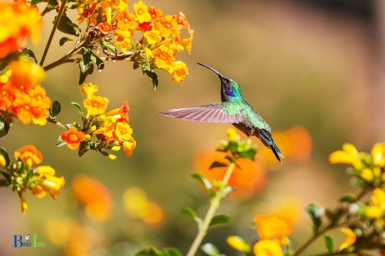 how to keep hummingbird nectar fresh