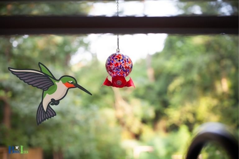 how to keep hummingbirds from flying into windows