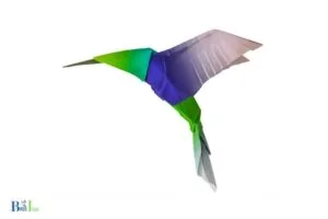 How to Make an Origami Hummingbird: A Guide!