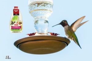 How to Make Hummingbird Food With Electrolytes? 7 Steps!
