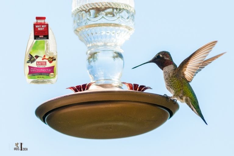 how to make hummingbird food with electrolytes