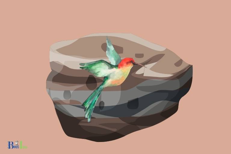 how to paint a hummingbird on a rock