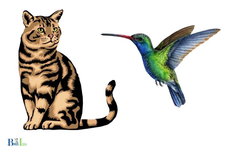 how to protect hummingbirds from cats