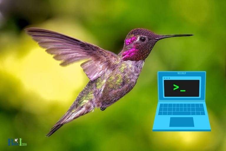 how to use hummingbird exceed to connect to linux