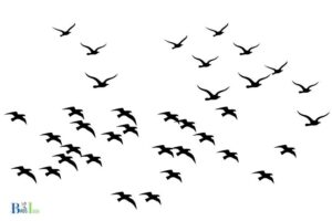 What Does It Mean When Crows Gather: Signifies a Murder!