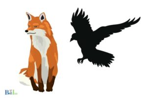 What is the Moral of the Fox And the Crow? Compliments!