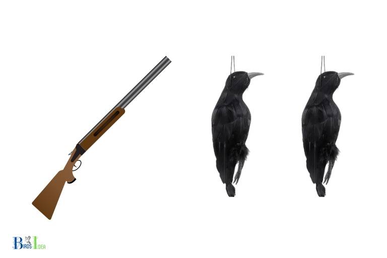 what to do with crows after hunting