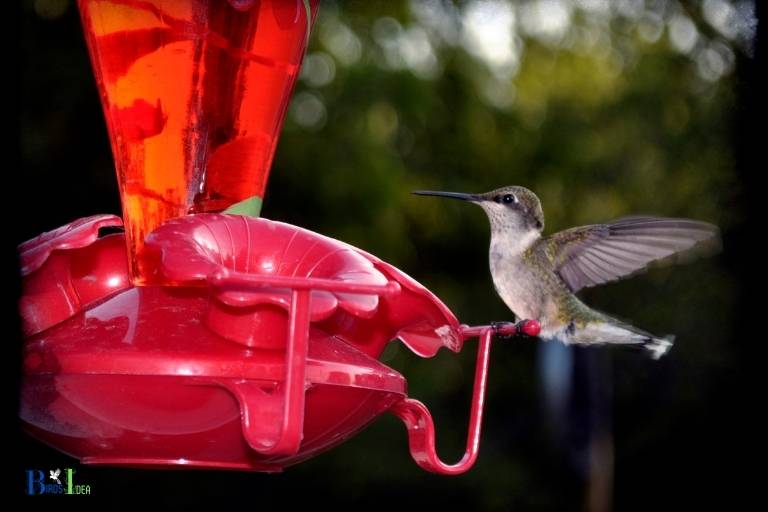 where to buy hummingbird feeder tubes