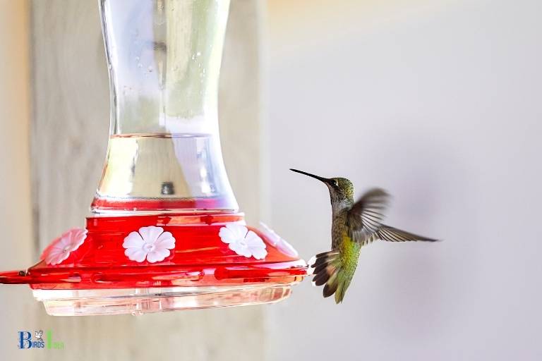 who invented the hummingbird feeder