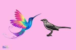 Will Mockingbirds Keep Hummingbirds Away: No!