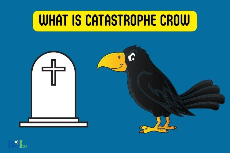 what is catastrophe crow