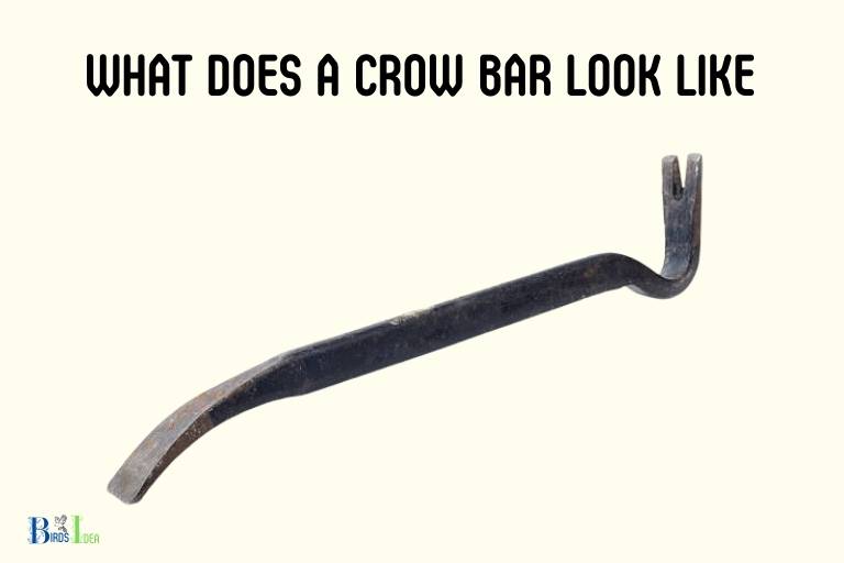 what does a crow bar look like