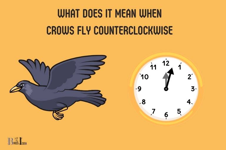 what does it mean when crows fly counterclockwise