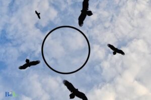 What Does It Mean When Crows Fly in Circles? Observation!