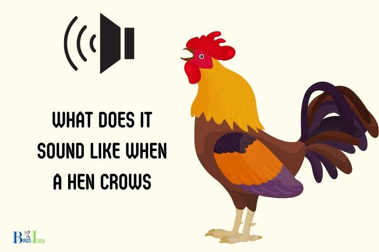 what does it sound like when a hen crows