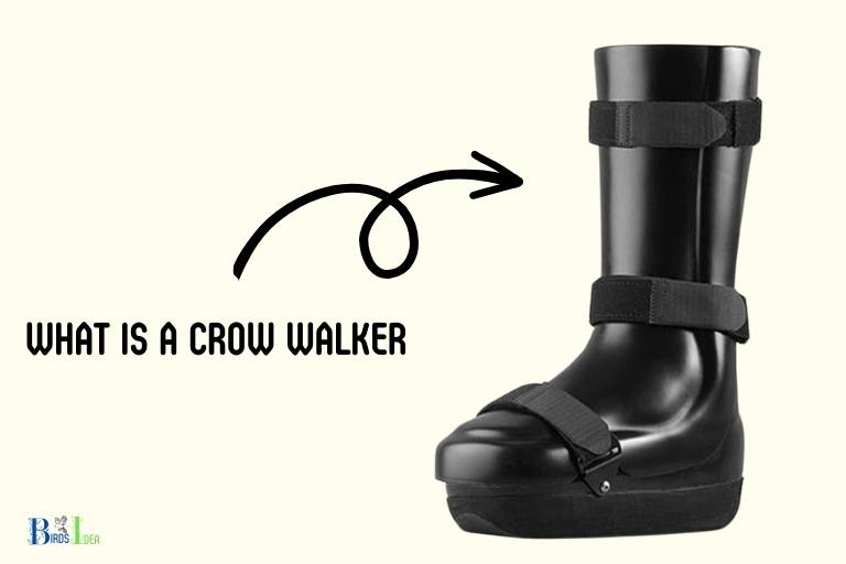 what is a crow walker