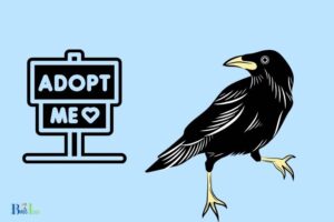 what is a crow worth in adopt me 2022