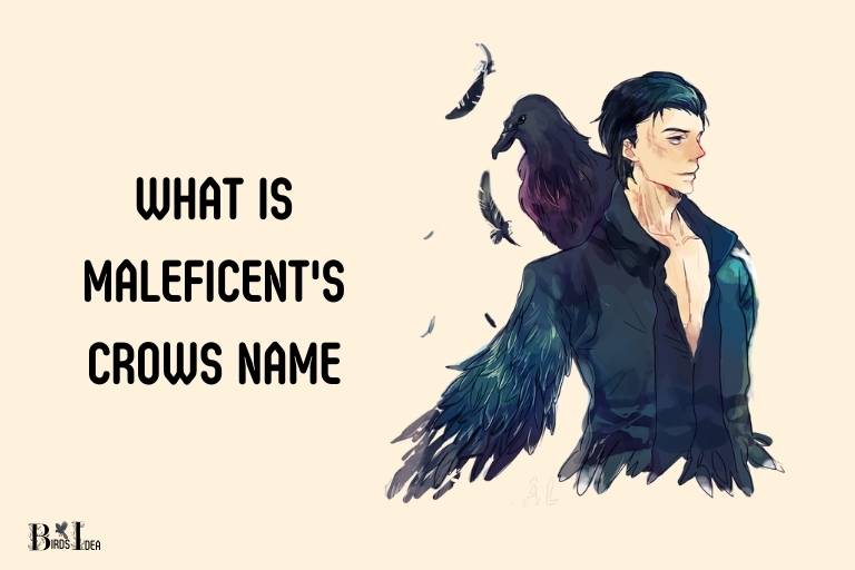 what is maleficents crows name
