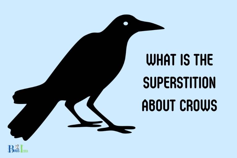 what is the superstition about crows
