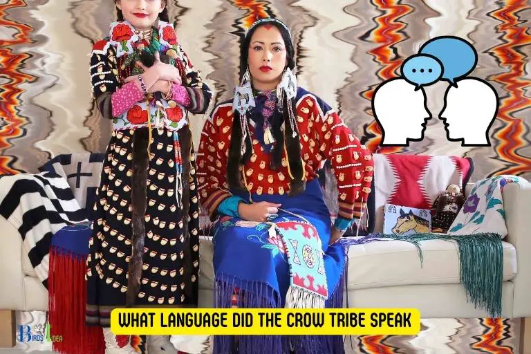 what language did the crow tribe speak