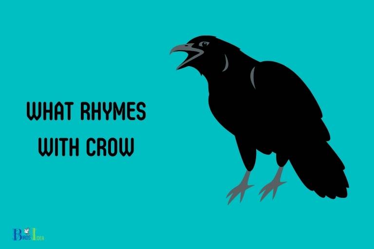 what rhymes with crow