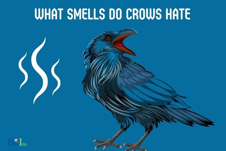 what smells do crows hate