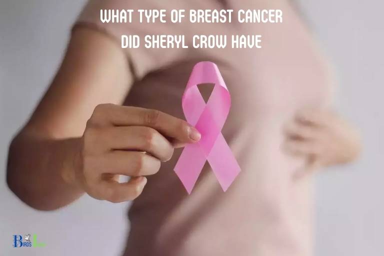 what type of breast cancer did sheryl crow have