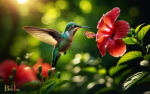 Are Hummingbirds Attracted to Hibiscus? Yes!