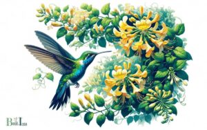 Are Hummingbirds Attracted to Honeysuckle? Yes!
